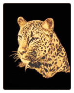 ENGRAVED LEPORD ENGRAVED LEPORD